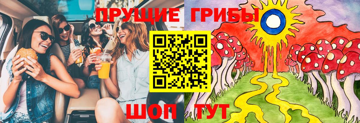 Псилоцибиновые грибы мицелий Ачинск