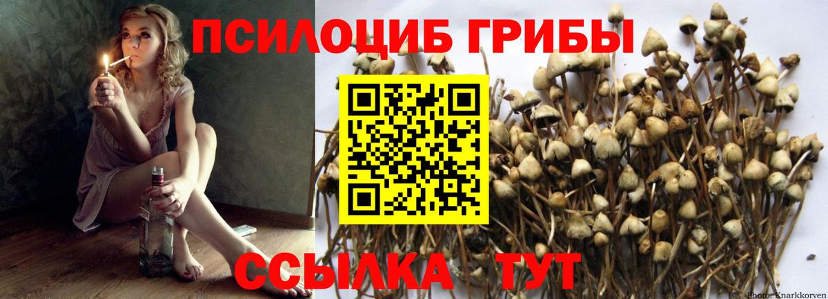 Псилоцибиновые грибы мухоморы  Вход с VPN  Ачинск  Галлюциногенные грибы Psilocybine cubensis 